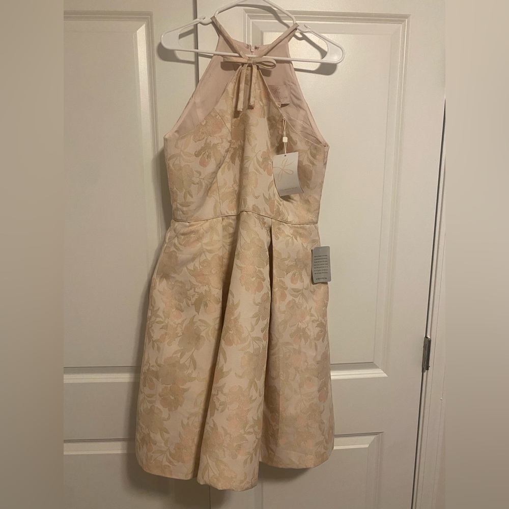 Gal meets glam- Evelyn in Blush Combo